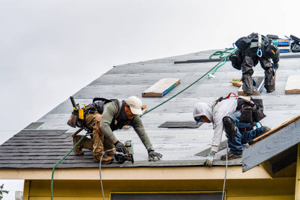 Professional Gutter Installation technician working in Lovilia, IA